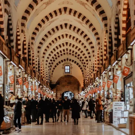 Eresin Topkapi 酒店 伊斯坦布尔